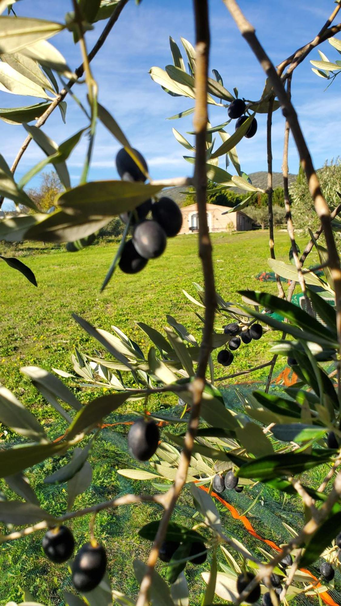 Vila Reve En Luberon Lauris Exteriér fotografie