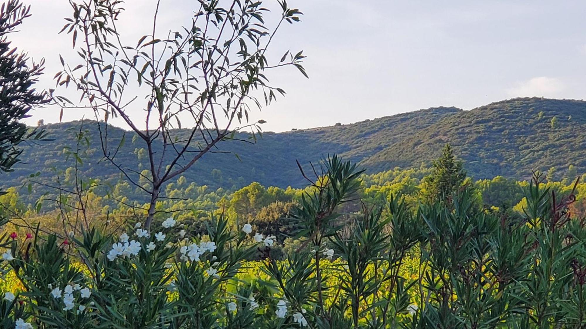 Vila Reve En Luberon Lauris Exteriér fotografie